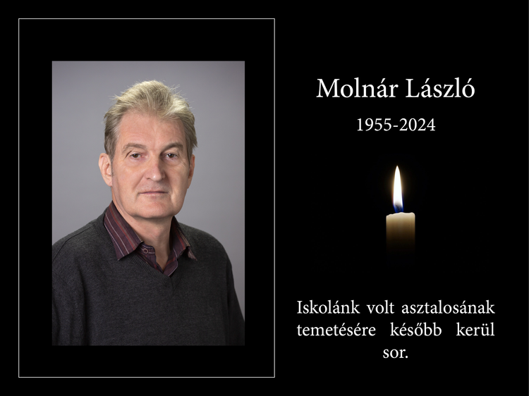 Molnár László